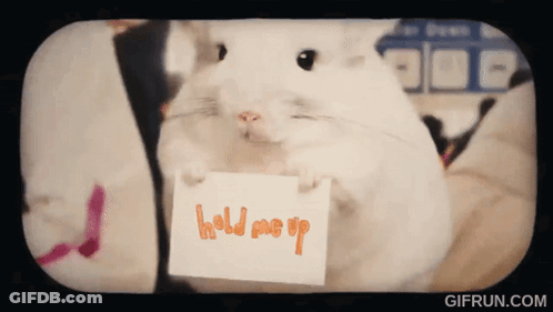 Hamster Holding Hold Me Up Paper GIF