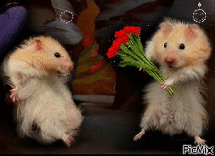 Hamster Holding Roses Funny Love GIF