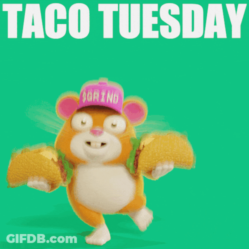 Hamster Holding Two Tacos Saying Taco Tuesday GIF
