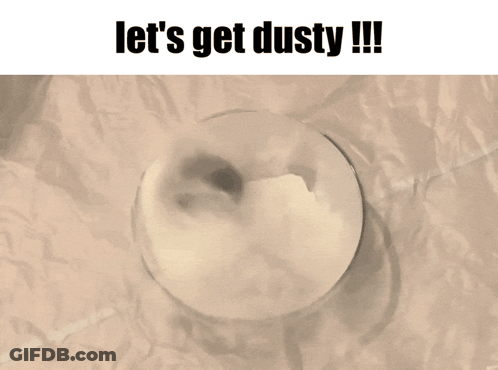 Hamster In Bowl Let Get Dusty GIF