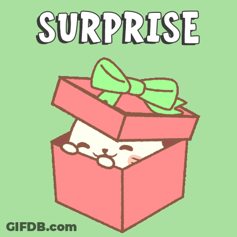 Hamster In Box Surprised GIF