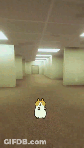 Hamster In Hallway With Door GIF