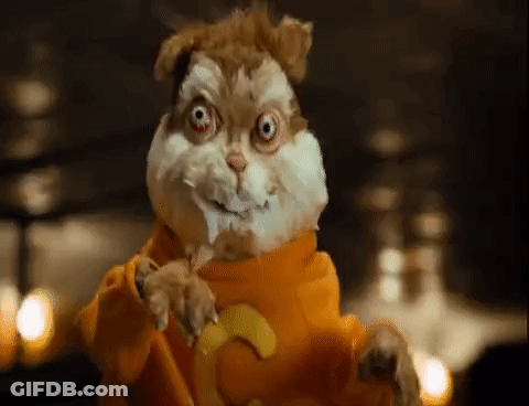 Hamster In Orange Sweater And Yellow Shirt GIF