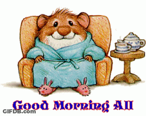 Hamster In Robe Saying Good Morning All GIF