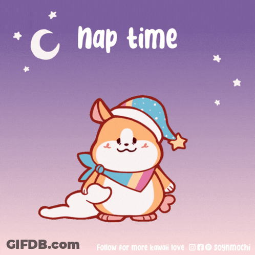 Hamster In Sleep Hat Nap Time GIF