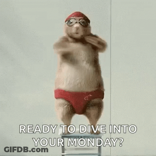 Hamster In Swim Cap And Goggles On Ladder GIF