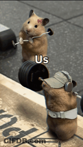 Hamster Lifting Barbell With Listening Hamster GIF