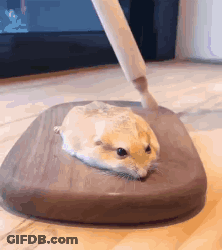Hamster Lying On Cutting Board With Brush GIF