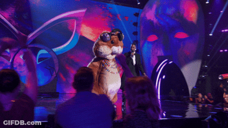 Hamster Mascot Dance On Stage GIF