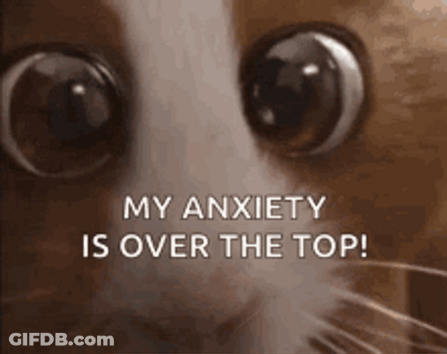 Hamster Mouth Shaking Anxiety Attack GIF