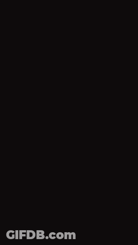 Hamster On Leash Beside Person In Water GIF