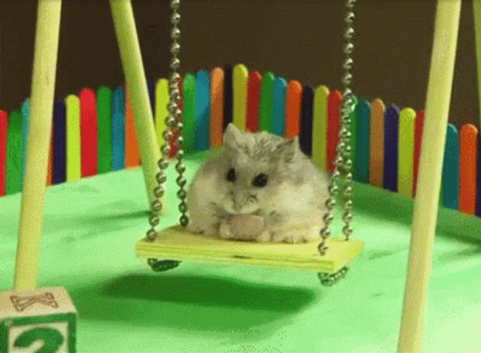 Hamster On Swing GIF