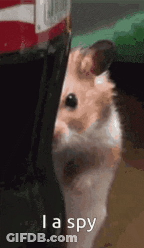Hamster Peeking Out Behind Bag Says Im A Spy GIF
