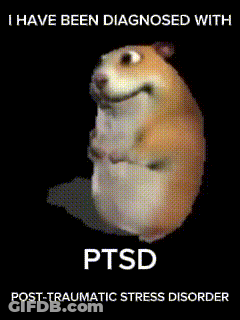 Hamster PTSD Post-Traumatic Stress Disorder GIF