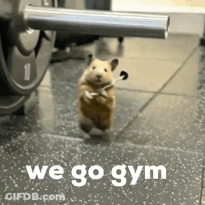 Hamster Running In Gym With Headphones GIF