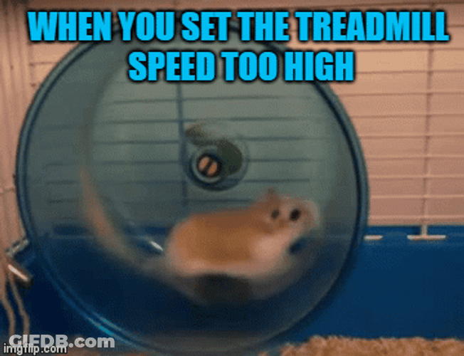Hamster Running On Spinning Wheel Meme GIF