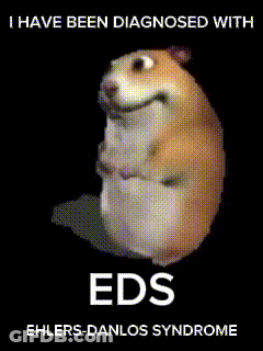 Hamster Saying Eds GIF