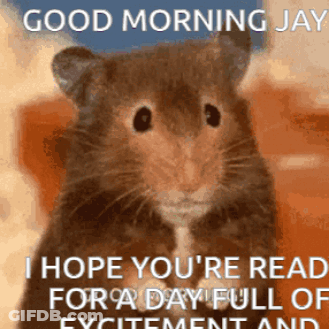 Hamster Saying Good Morning Jay GIF