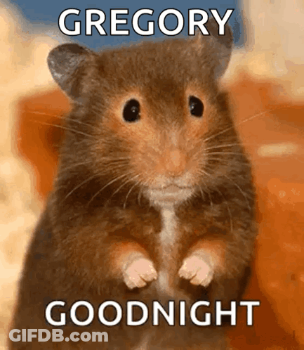 Hamster Saying Gregory Goodnight GIF