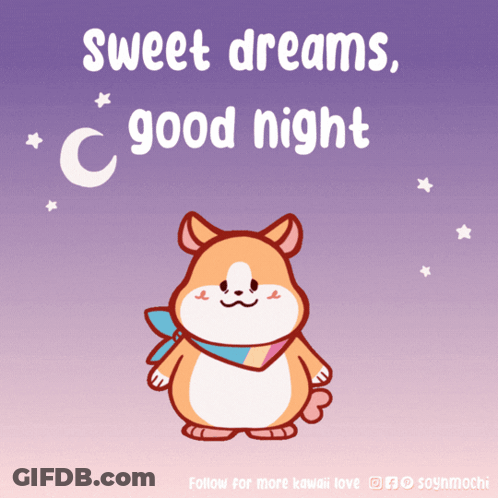 Hamster Saying Sweet Dreams Good Night GIF