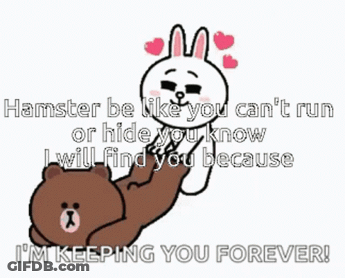 Hamster Saying You Can't Run Or Hide GIF