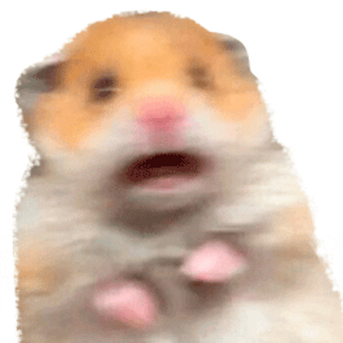 Hamster Scared Meme GIF