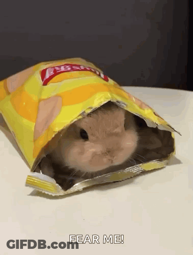 Hamster Sitting Inside Potato Chips Bag GIF
