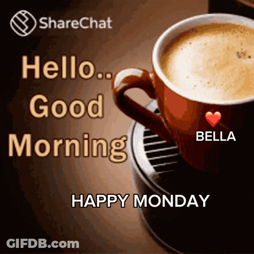Hamster Sitting Next To Coffee Cup Happy Monday GIF
