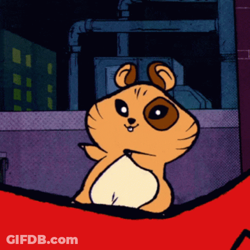 Hamster Sitting On Red Blanket GIF