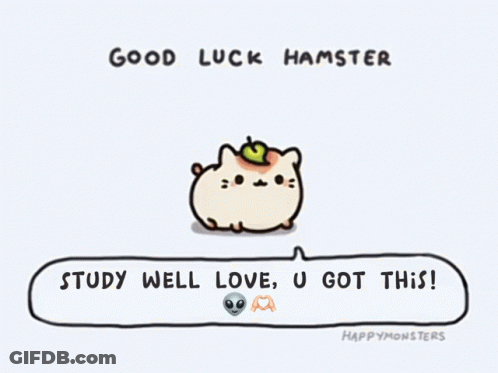 Hamster Speech Bubble Good Luck Study Love U Got This GIF