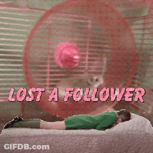 Hamster Spinning Wheel GIF