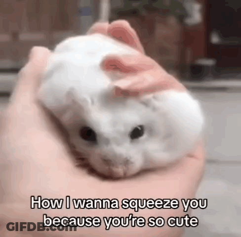 Hamster Squeeze How I Wanna GIF