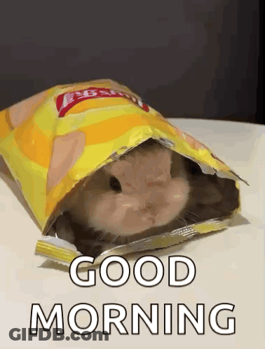 Hamster Sticking Head Out Of Chips Bag Saying Good Morning GIF