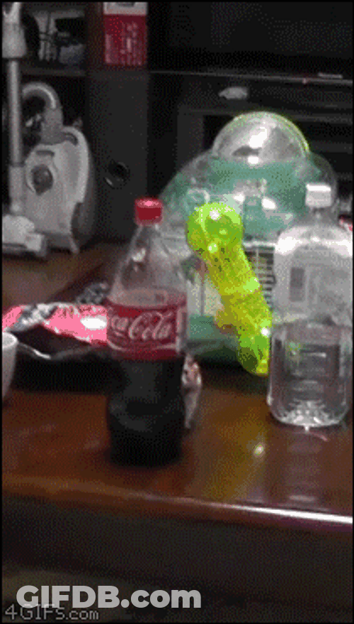 Hamster Stop Dance Hides Behind Bottle GIF