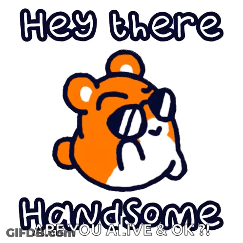 Hamster Sunglasses Hey There Handsome Are You Alive OK GIF