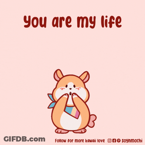 Hamster Surrounded By Pink Hearts You Are My Life GIF
