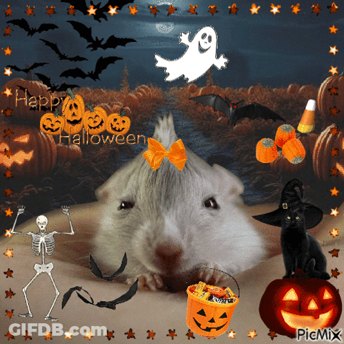 Hamster Surrounded By Pumpkins And Ghost Saying Happy Halloween GIF