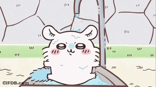 Hamster Taking Bath In Bucket GIF