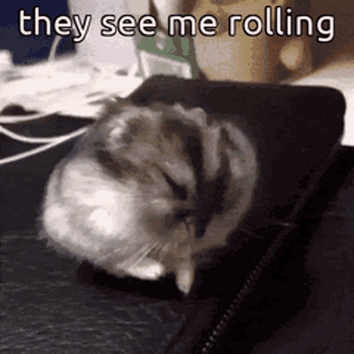 Hamster They See Me Rolling GIF