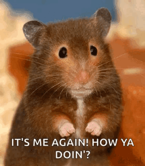 Hamster Waving Hi GIF