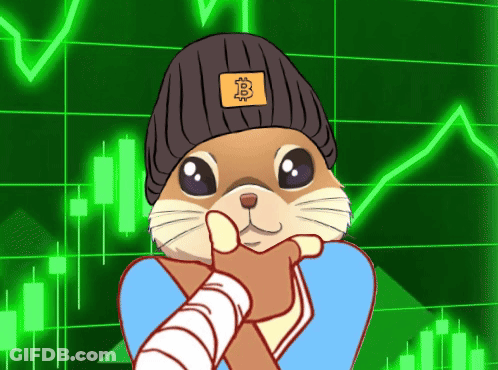 Hamster Wearing Beanie With Bitcoin Sticker GIF