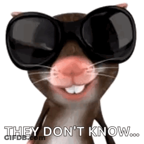 Hamster Wearing Sunglasses Saying They Don't Know GIF