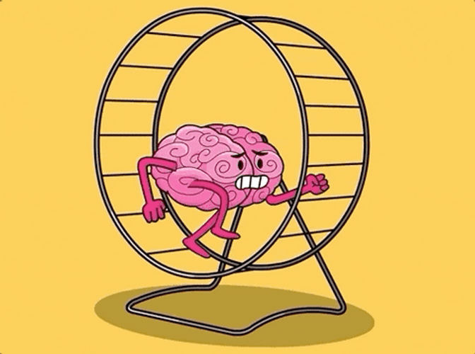 Hamster Wheel Brain Spin Cartoon GIF