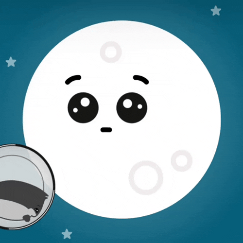 Hamster Wheel Moon Hamsta World GIF