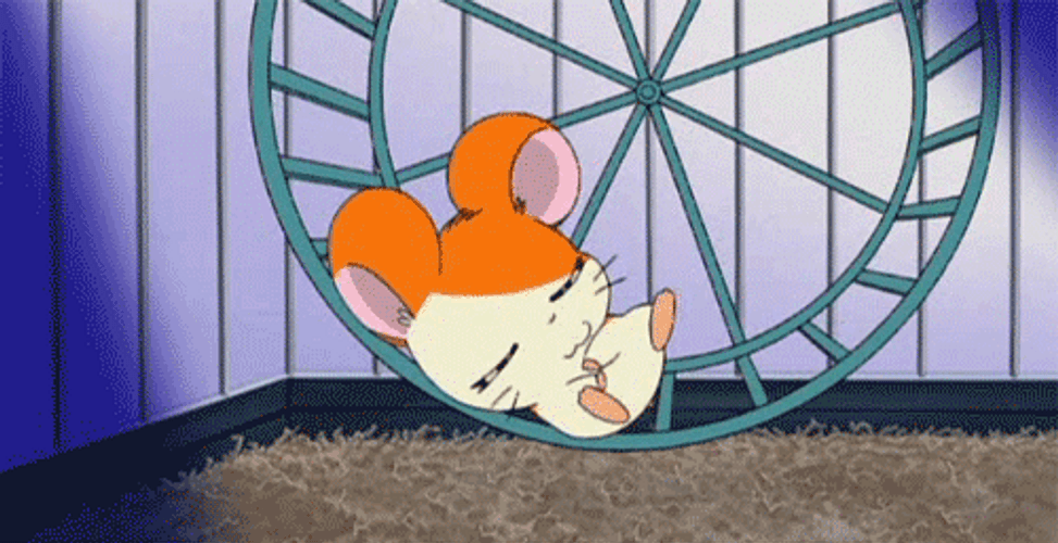Hamster Wheel Sleeping Hamtaro GIF