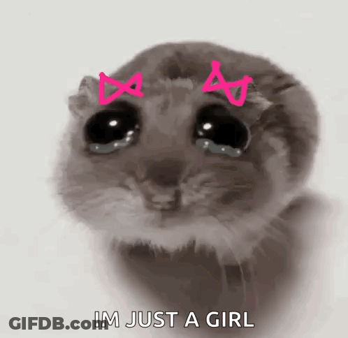 Hamster With Bows Cries I'm Just A Girl GIF