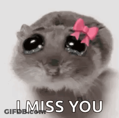 Hamster With Pink Bow Crying GIF