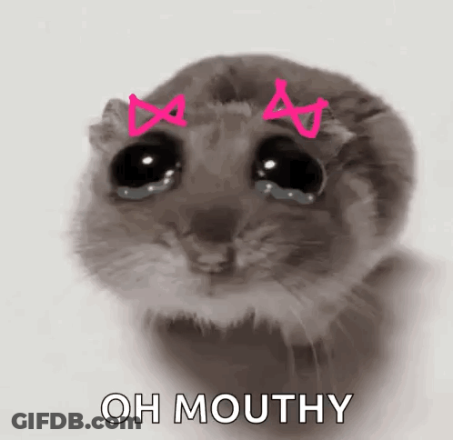Hamster With Pink Bows Saying Oh Mouthy GIF
