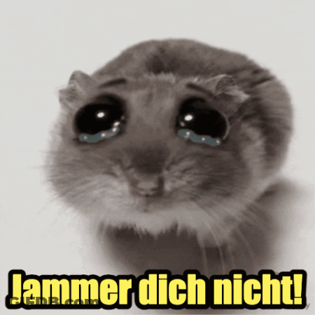 Hamster With Tears Jammer Dich Nicht GIF