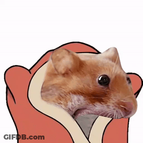 Hamster Wrapped In Red Rose GIF
